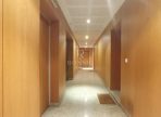IMG_20240311_130128