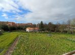 IMG_20240311_134421